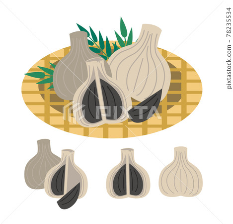 Black garlic illustration 78235534