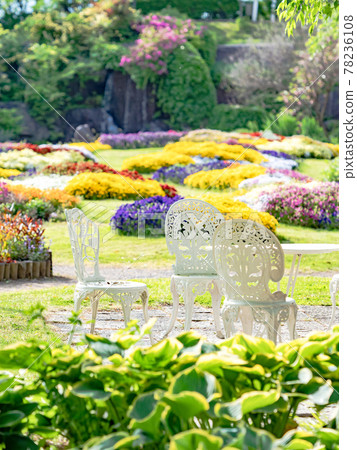 初夏古都小布施美景，鮮花盛開的休閒公園 78236108