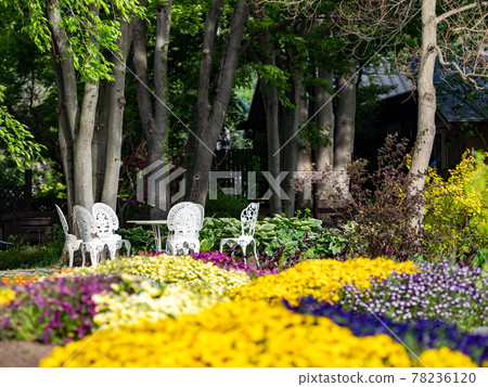 Beautiful scenery of Obuse, the ancient capital of early summer, a relaxing park decorated with flowers in full bloom Beautiful scenery of Obuse, the ancient capital of early summer, a relaxing park decorated with flowers in full bloom 78236120