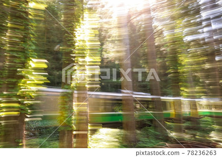 新鮮的綠色Tadami線 78236263