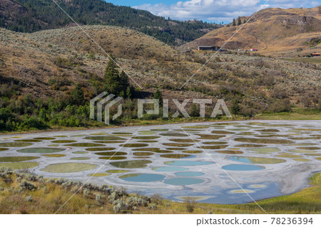Spotted lake 78236394