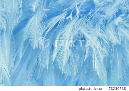 Blue pastel bird feathers pattern texture background. Blue pastel bird feathers pattern texture background. 78236588