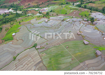 Aerial top view of paddy rice terraces with water reflection, green agricultural fields in countryside, mountain hills valley, Pabongpieng, Chiang Mai, Thailand. Nature landscape. Crops harvest. 78236732