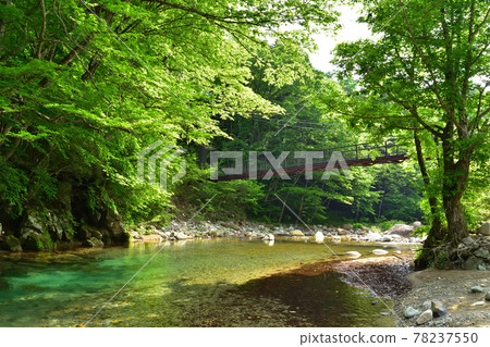 流經那須鹽原的木俁川和巨石吊橋 流經那須鹽原的木俁川和巨石吊橋 78237550