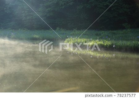 Hiraike [Imazu-cho, Takashima City, Shiga Prefecture] 78237577