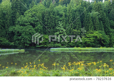 Hiraike [Imazu-cho, Takashima City, Shiga Prefecture] 78237616