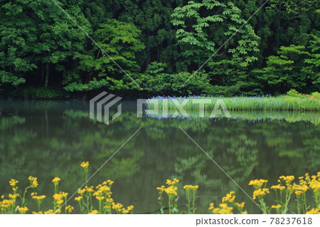 Hiraike [Imazu-cho, Takashima City, Shiga Prefecture] 78237618