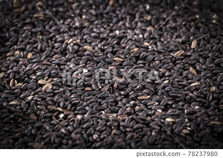raw black rice as background.. Selective focus 78237980