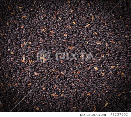 The raw black rice as background.. Selective focus 78237992