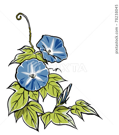 兩朵藍色牽牛花花蕾刷塗啞光 兩朵藍色牽牛花花蕾刷塗啞光 78238045