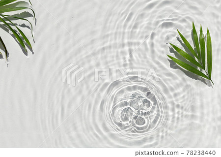Abstract water texture with circles and palm leaf 78238440