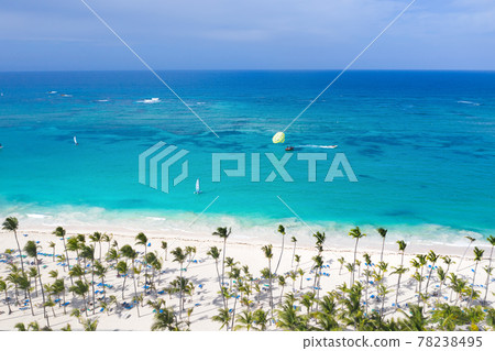 Aerial view from drone on seashore with palm trees and sunbeds 78238495