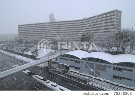 位於千里新城青山台(大阪府吹田市)的UR千里青山台住宅區 位於千里新城青山台(大阪府吹田市)的UR千里青山台住宅區 78238868
