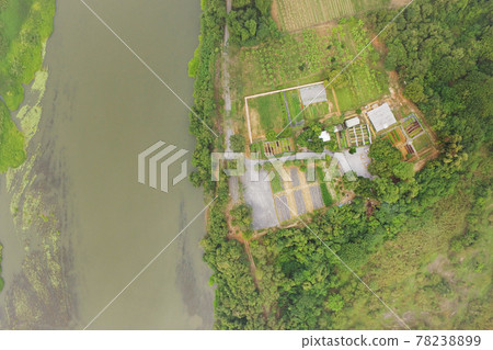 Birds Eye View of the vegetable fields and agricultural Birds Eye View of the vegetable fields and agricultural 78238899