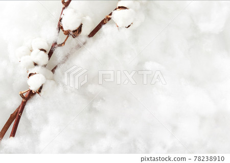 Cotton and cotton images 78238910