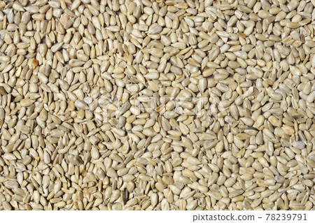 Sunflower seeds 78239791