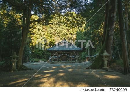 It is a precinct view where you can see the worship hall and main shrine of Izumo Shrine in Omihachiman City, Shiga Prefecture. 78240099