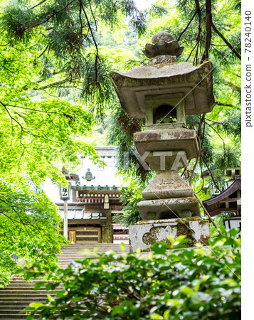 初夏清涼深谷,青石燈籠 初夏清涼深谷,青石燈籠 78240140