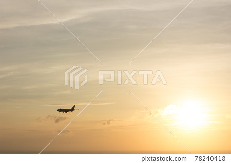 夕陽中的飛機 78240418