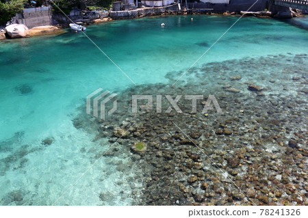 The sea of Kashiwajima in early summer (Otsuki Town, Kochi Prefecture) The sea of Kashiwajima in early summer (Otsuki Town, Kochi Prefecture) 78241326