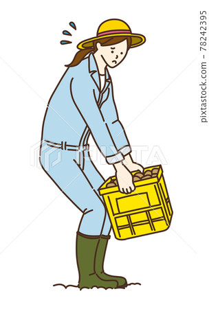 Agricultural work Luggage packing Cardboard basket Field work Illustration Female 78242395