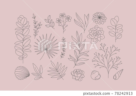 Modern minimalist exotic floral elements collection. Outlined leaves and flowers. Vector illustrations 78242913