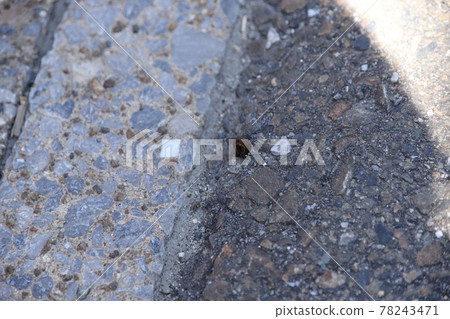 路邊小山 78243471