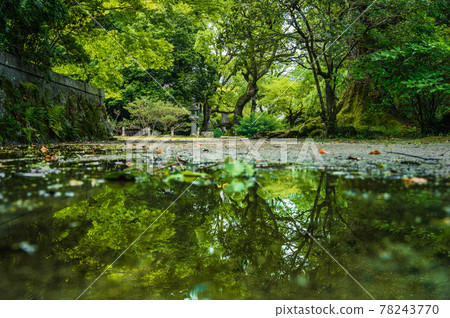 反映在水坑中的自然世界 78243770