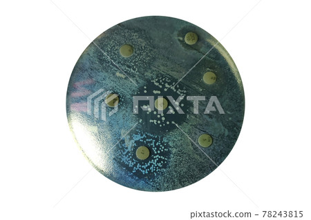 Resistance of bacteria against antimicrobials used in veterinary medicine 78243815