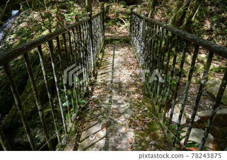 森林中的一座古橋 森林中的一座古橋 78243875