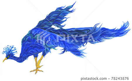 水能量鳥水彩 78243876