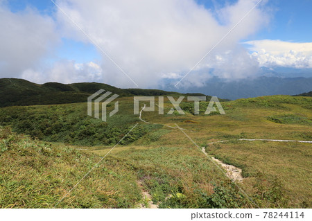 白木峰 白木峰 78244114