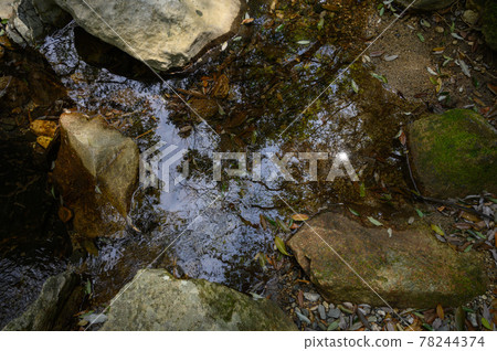 反映在水面上的自然景觀 反映在水面上的自然景觀 78244374