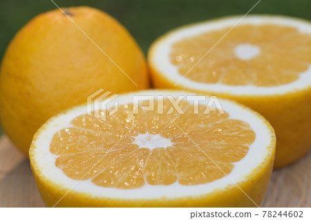 河內康拜 78244602