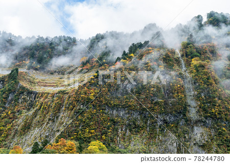 The wall of a mysterious evil castle with colored leaves The wall of a mysterious evil castle with colored leaves 78244780