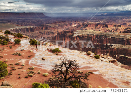 Canyonlands National Park, USA 78245171