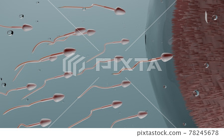 sperm cells and ovum conceptual illustration. Fertilization concept 78245678
