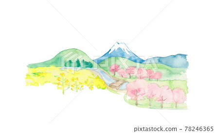 Scenery of rape blossoms, cherry blossoms and Mt. Fuji Scenery of rape blossoms, cherry blossoms and Mt. Fuji 78246365