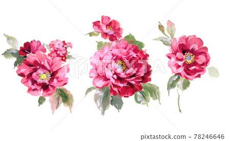  Colorful floral material combinations and design elements 78246646