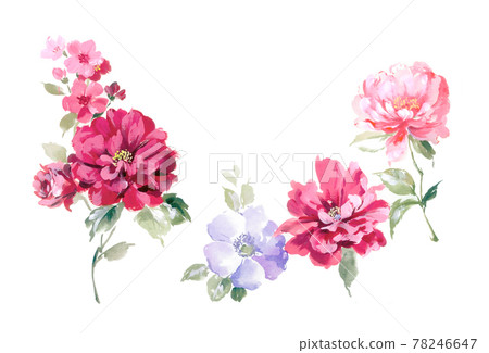  色彩豐富的花卉素材組合和設計元素 78246647