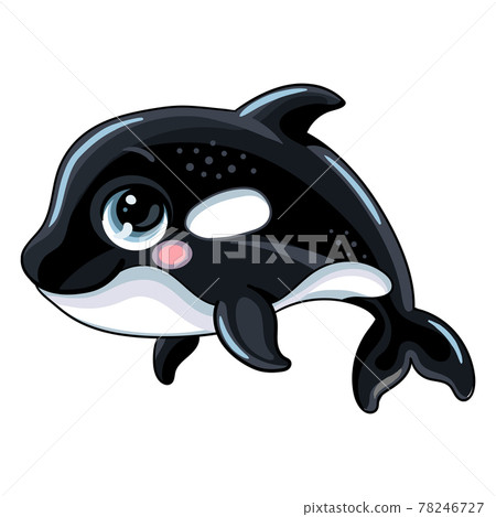 Funny cute happy orca vector isolated illustration Funny cute happy orca vector isolated illustration 78246727