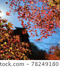 Autumn scenery 78249180