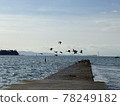 Birds taking off on the shore 78249182