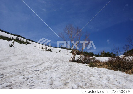 Mt. Issaikyo trekking in spring / Fukushima City, Fukushima Prefecture Mt. Issaikyo trekking in spring / Fukushima City, Fukushima Prefecture 78250059