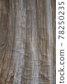 Gray and brown vertical stripe tree 78250235