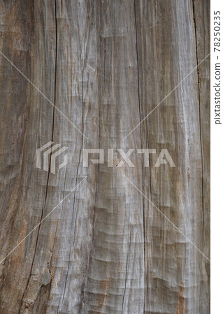 Gray and brown vertical stripe tree 78250235