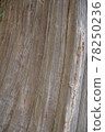 Vertical stripe tree trunk 78250236
