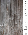 Rough tree trunk with vertical streaks 78250238