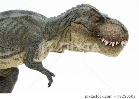 霸王龍圖恐龍 T-REX 78250502