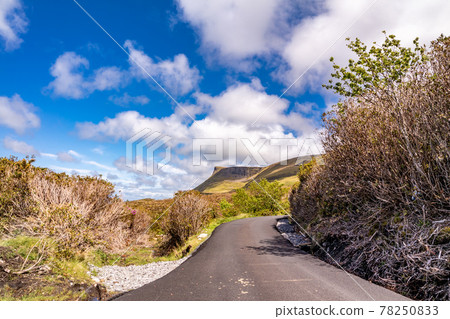 Benwiskin mountain in County Sligo, Republic of Ireland 78250833
